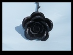 Kovářská růže